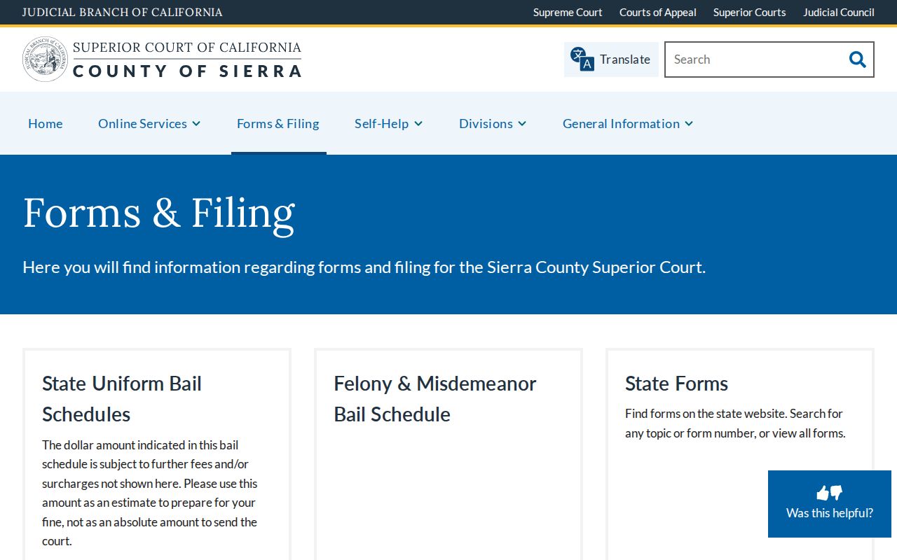 Sierra Superior Court forms and filing page